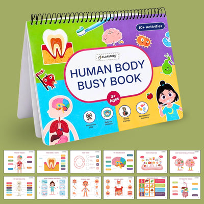 Human Body Busy Book: Interactive Learning Binder for Toddlers & Preschoolers