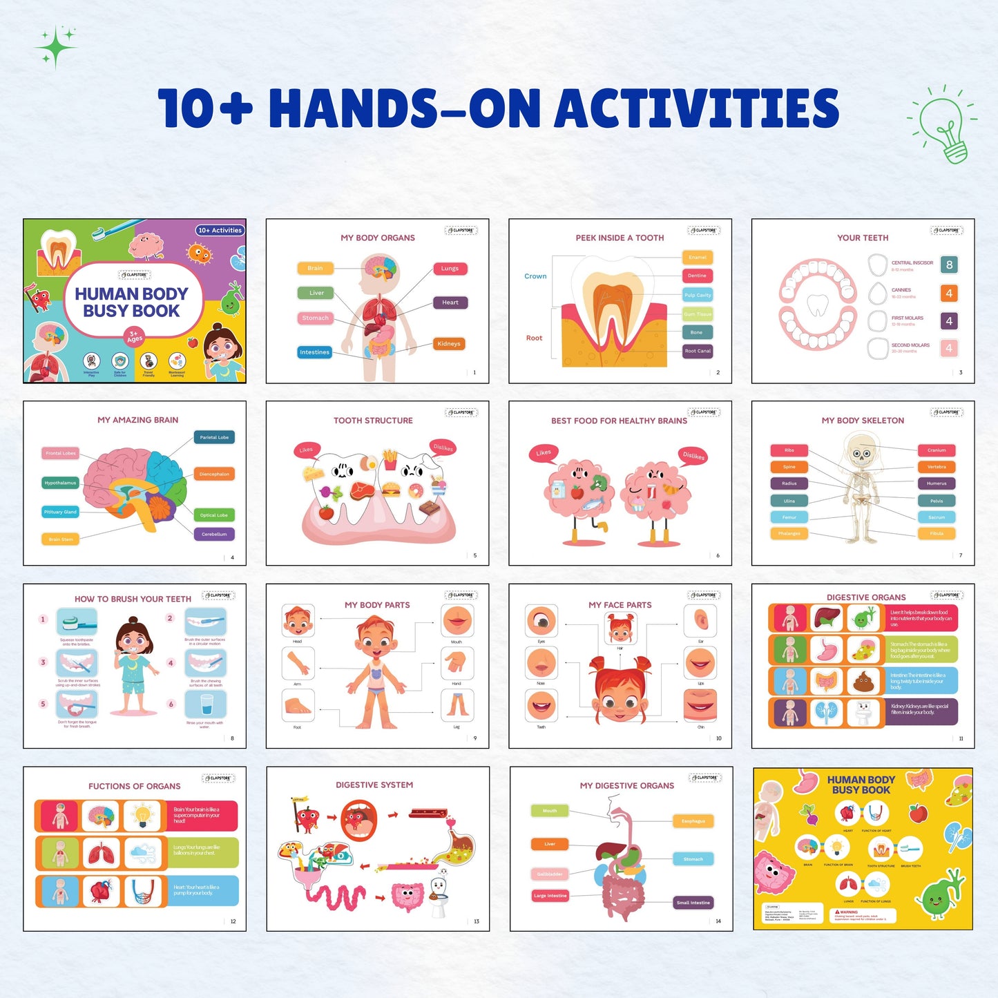 Human Body Busy Book: Interactive Learning Binder for Toddlers & Preschoolers