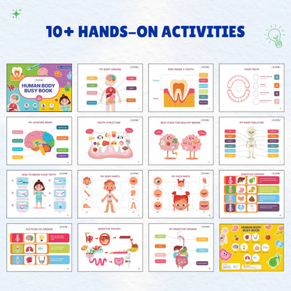 Human Body Busy Book: Interactive Learning Binder for Toddlers & Preschoolers