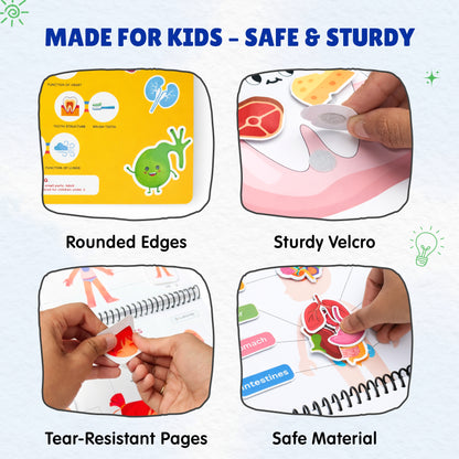 Human Body Busy Book: Interactive Learning Binder for Toddlers & Preschoolers