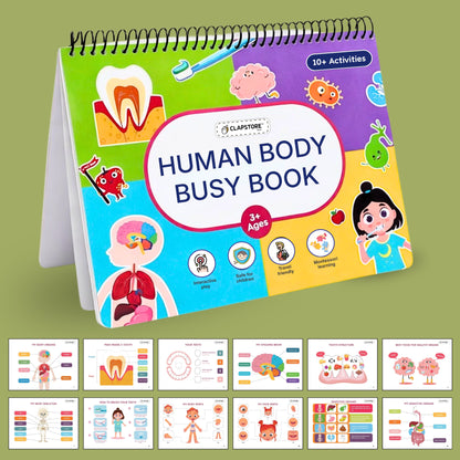 Human Body Busy Book: Interactive Learning Binder for Toddlers & Preschoolers