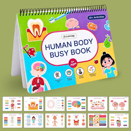 Human Body Busy Book: Interactive Learning Binder for Toddlers & Preschoolers